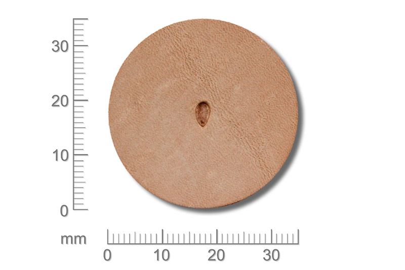 Punziereisen / Prägewerkzeug / Lederstempel P233 ( T-09 )