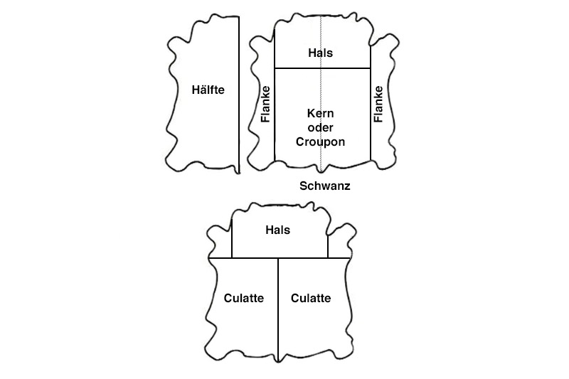 Hautteile3